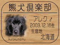 �I�[�i�[�̓��[�}�}����ł���